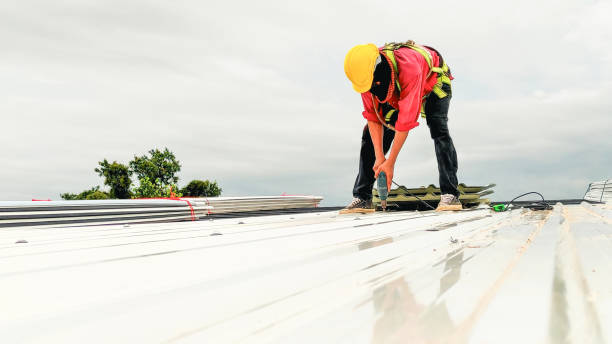 Best Asphalt Shingles Roofing  in Freeland, PA