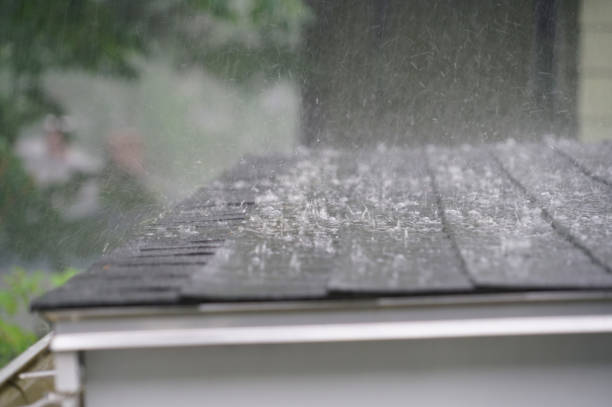 Trusted Freeland, PA Roofing Service Experts