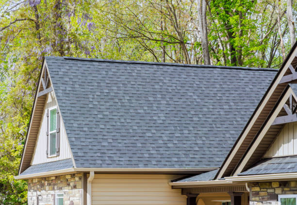 Best Chimney Flashing Repair  in Freeland, PA