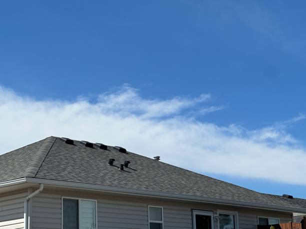 Best Cold Roofs  in Freeland, PA
